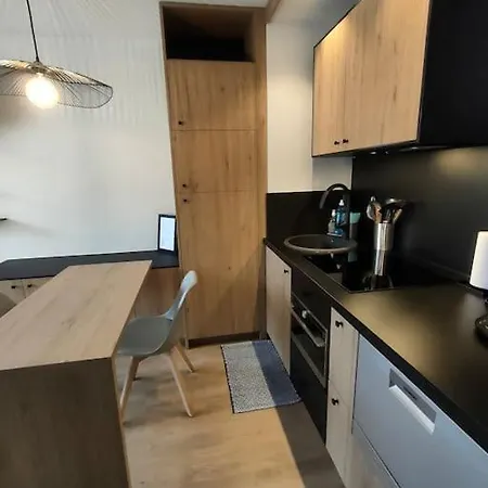 Apartment Magnifique 3 Etoiles En Hyper Centre Avec Place Privee Aix-les-Bains