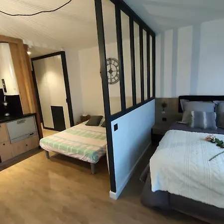 Apartment Magnifique 3 Etoiles En Hyper Centre Avec Place Privee